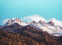 星空体育app下载-九游体育：点亮你的体育热情，开启智慧下注之旅